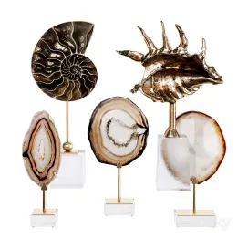 Sea Shell Decorative Set